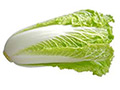 Cabbage Long