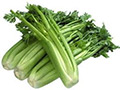 Celery Aust.
