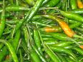 Chilli Padi