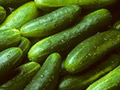 Cucumber