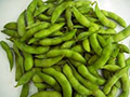 Holland Bean