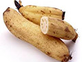 Lotus Root