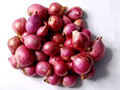 Onion Small