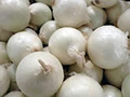 Onion White